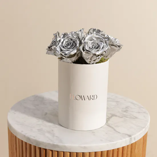 Preserved Silver Rose Box | 6 Roses