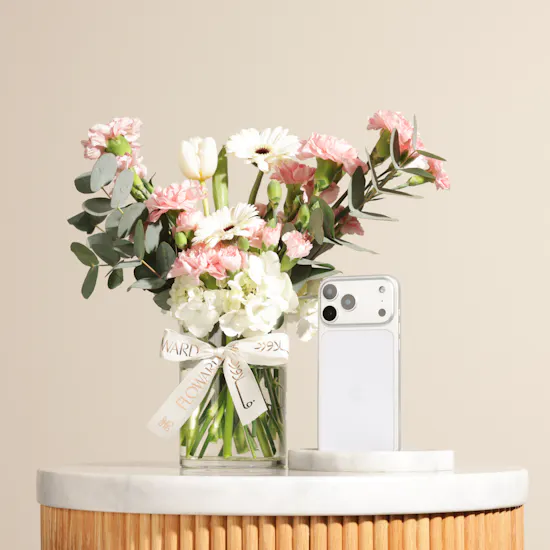 Apple iPhone 17 Pro Silver 256GB | Pure Flowers