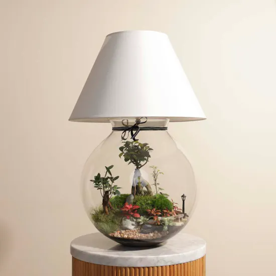 Nature's Glow Terrarium