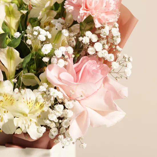 Aani & Dani Pistachio Pudding Cake | Soft Devotion Flower Bouquet