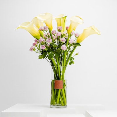 Yellow Calla  | Glass Vase