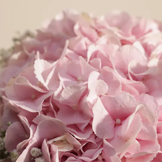 Delight Flowers Vase