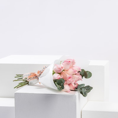 Love Bouquet | 12 Light Pink Roses