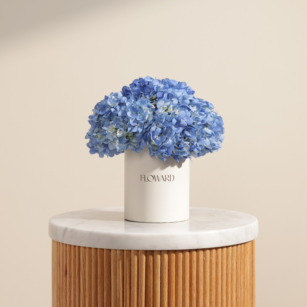 Graceful Blue Hydrangea Box | 6 Flowers