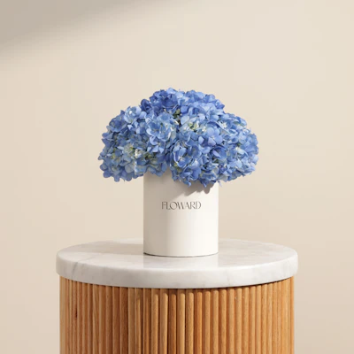 Graceful Blue Hydrangea Box | 6 Flowers Graceful Blue Hydrangea Box | 6 Flowers