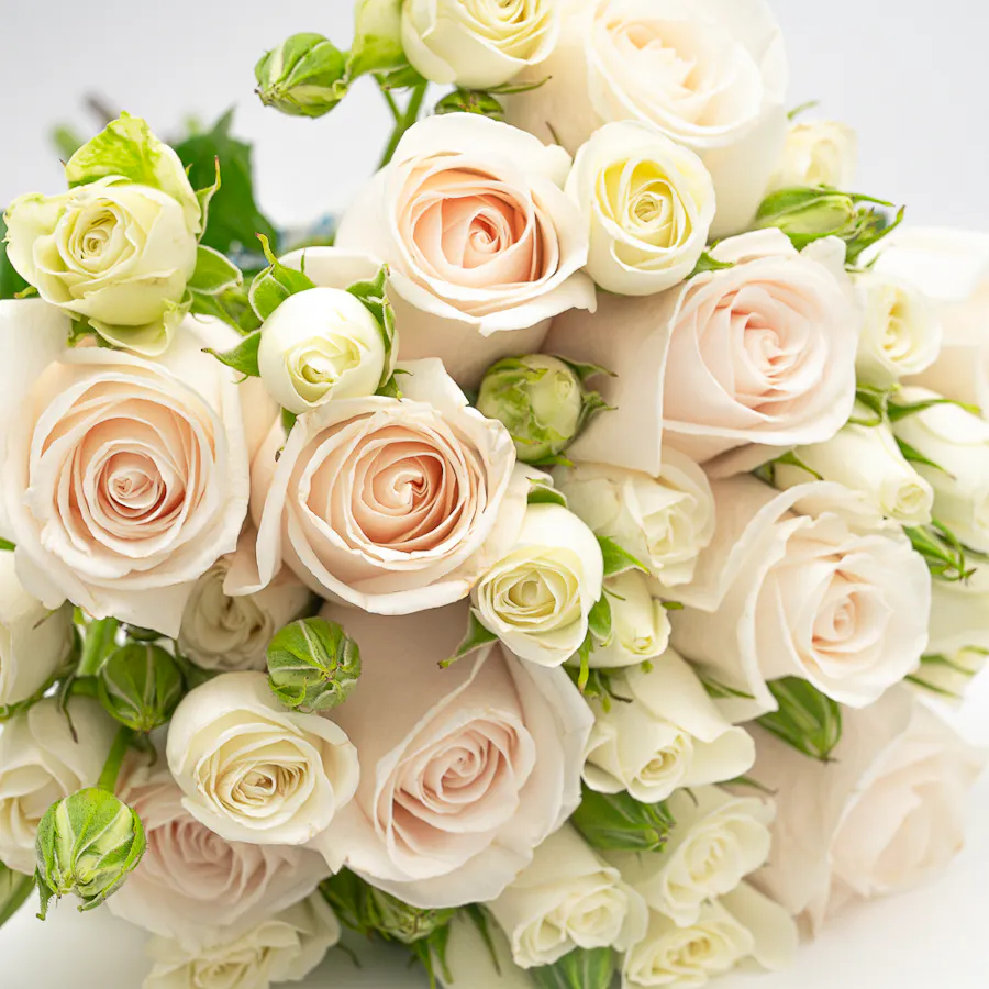Munch Bakery Chocolate Velvet Cake | White Roses 4