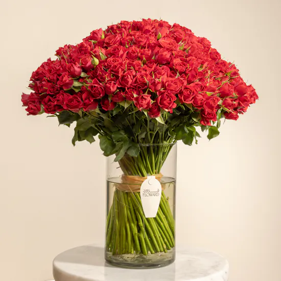 100 Red Baby Roses Vase