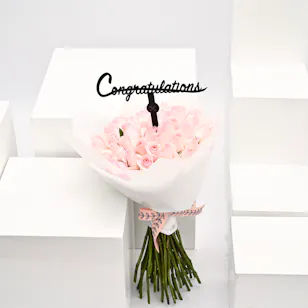 pink roses graduation collection pink roses graduation collection