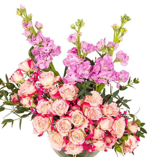 Dee Mama Sophie La Girafe Princess Set | Pink Matthiola