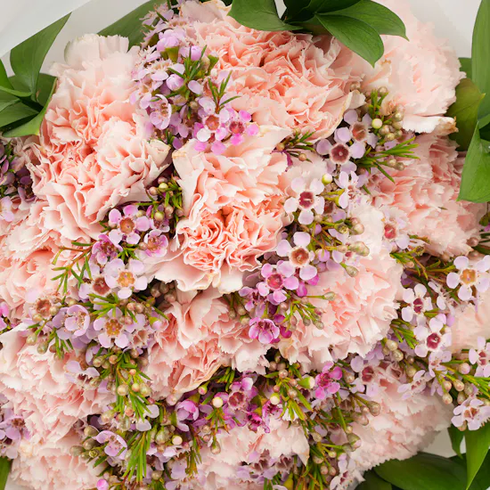Joolz Bunny Bracelet | Carnations Bouquet