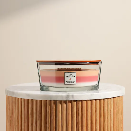 WoodWick Blooming Orchid Ellipse Trilogy Candle | 453 g