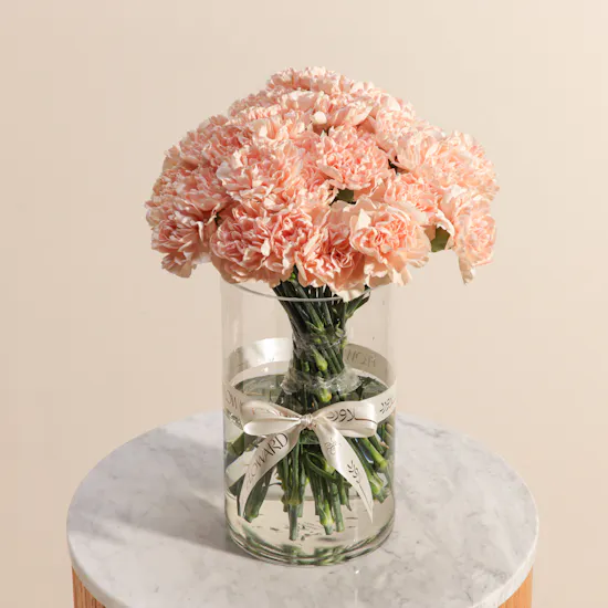 Vibrant Carnation Peach Vase