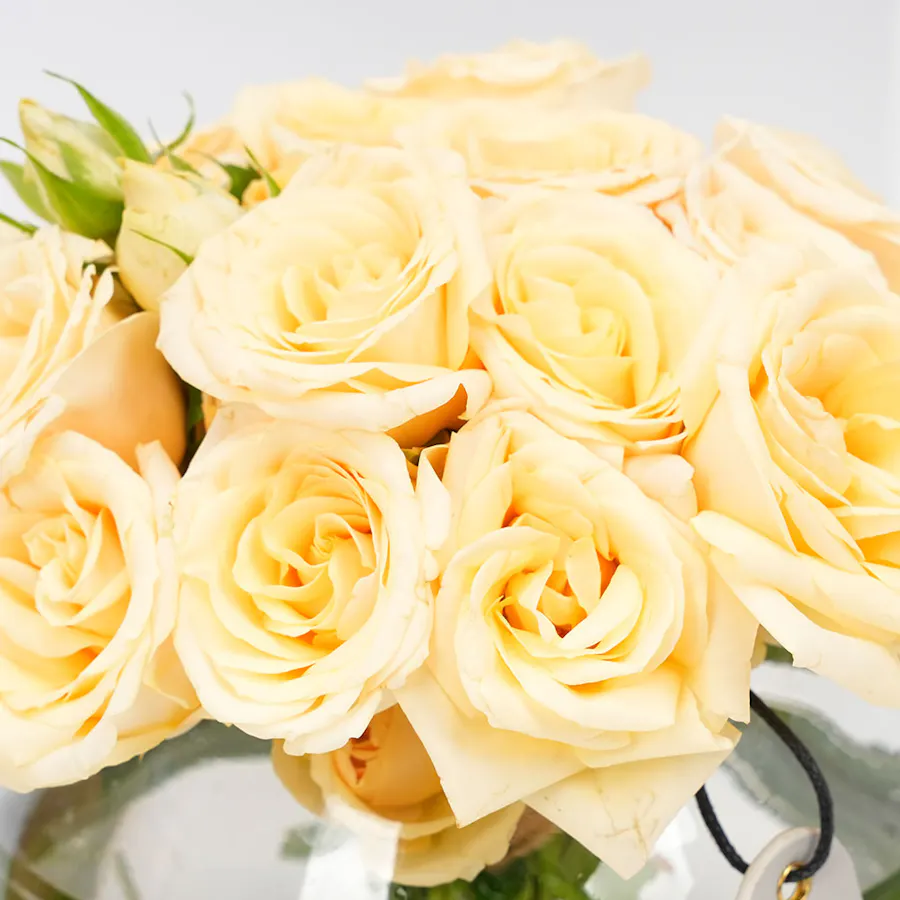 Ibrahim Alqurashi Al Wafeyya Amber Oud & Baby Roses 4