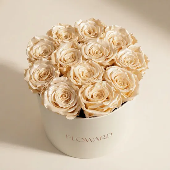 Preserved Satin Rose Box | 12 Rose