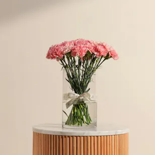 Elegant Pink Carnation Vase