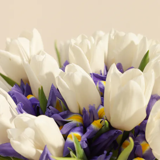 Blooming Blues | 60 Flowers