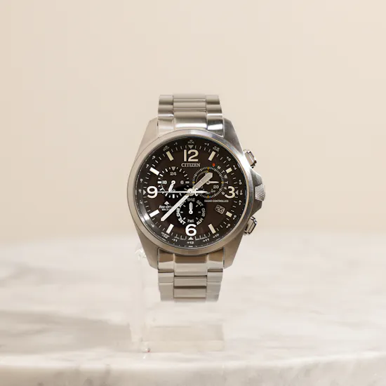 Citizen Promaster Land Men's Watch