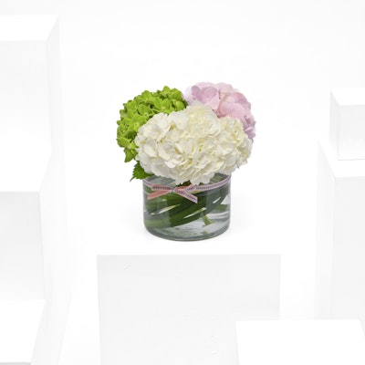 Hydrangea Vase