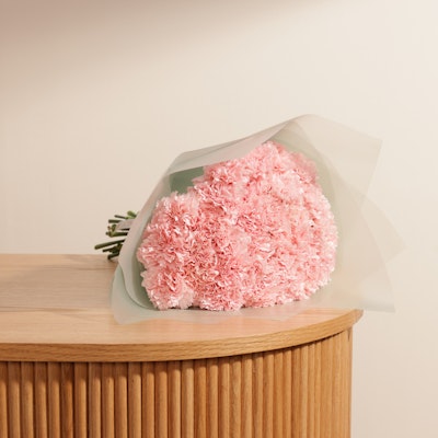 Pink Carnation | White Wrap