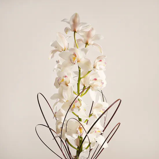 Pure Flowers Vase