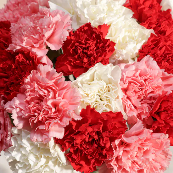 Colorful Carnation Vase