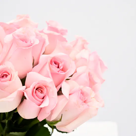 Dream's Vase