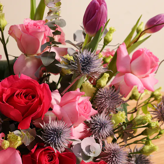 Glory Galore Blooms