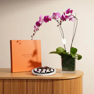  Fillings Chocolates | Orchid Plant