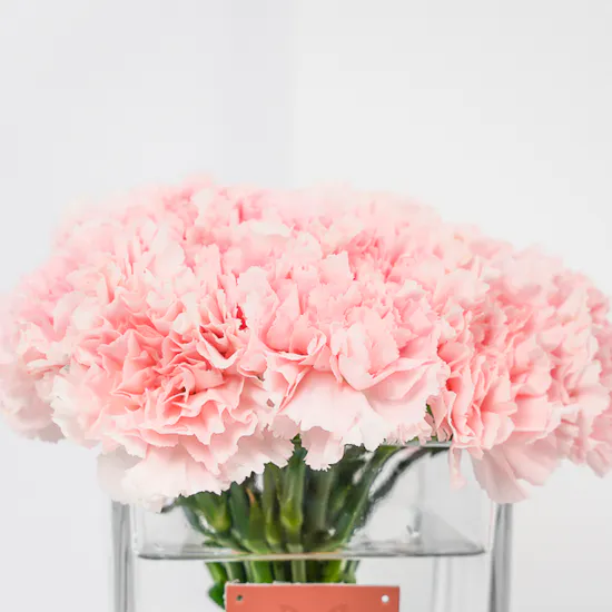 Floward Small Mixed Chocolate Box | Pink Carnations