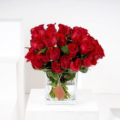 Red Roses | Square Vase