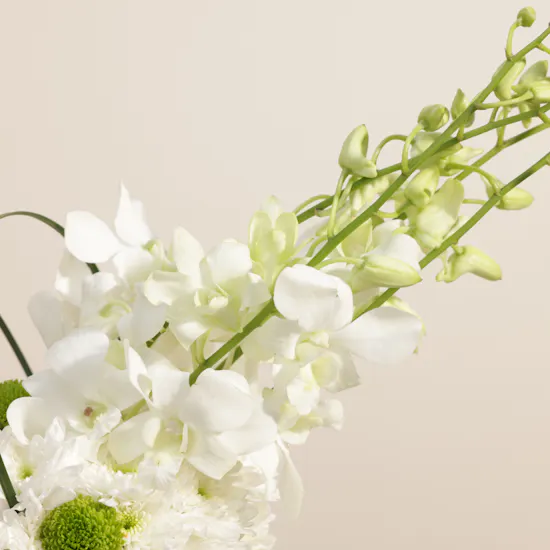 Godiva Small Royal Chocolate Box | Whispered Blooms Vase