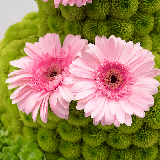 Birthday Bloom Cake