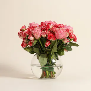 Mother Radiant Roses Vase Mother Radiant Roses Vase