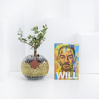 Will Book | Olive Plant