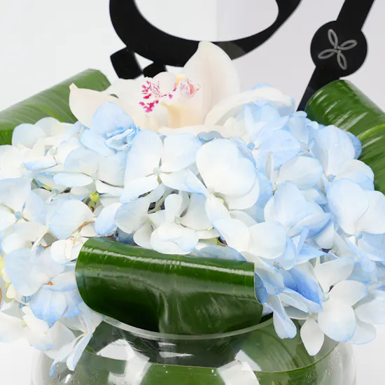 Yasania Onyx | Blooms Vase