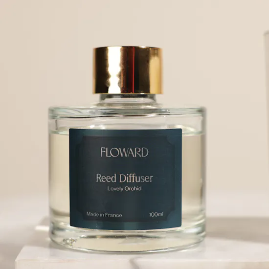 Floward Lovely Orchid Home Gift Set