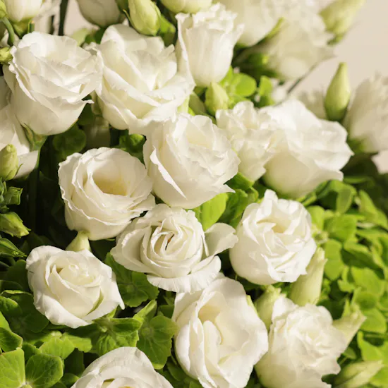 Mother Lush Green Elegance Tray