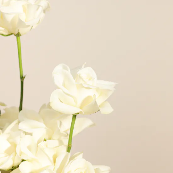 Almosafer Gift Card | Blissful Flowers Box