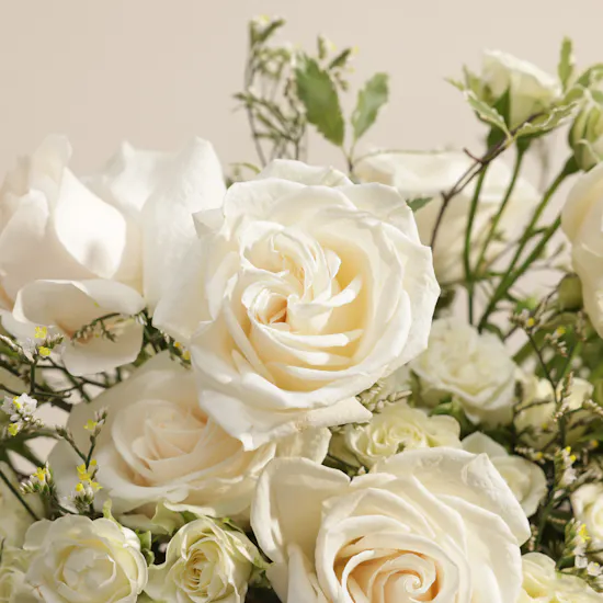 The Ivory Queen Flower Flower Box