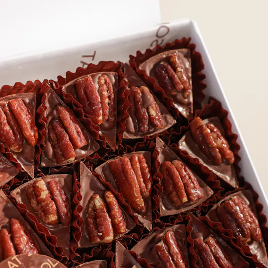 Soucolat Turtle Tablet Chocolate Box