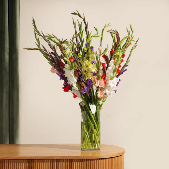 Mixed Color Gladiolus Vase