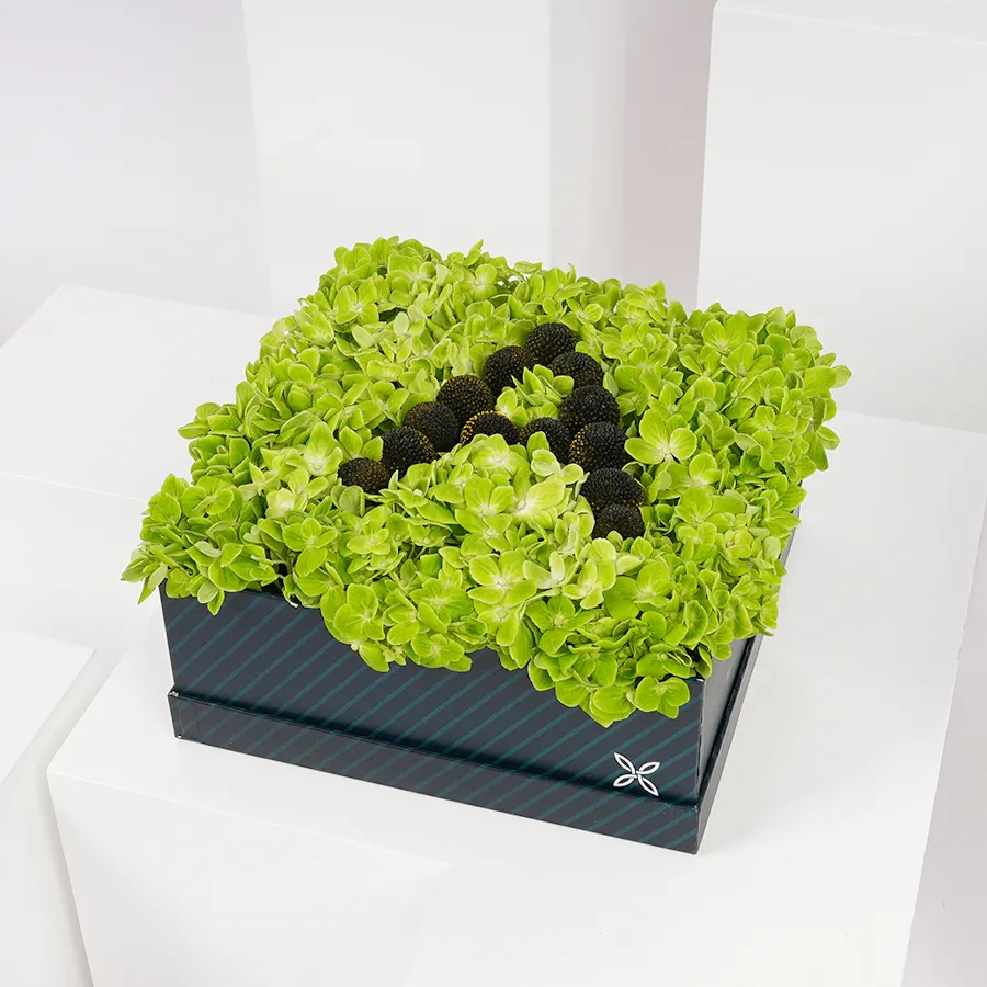Personalized Flowers Letters  | Craspedia 6