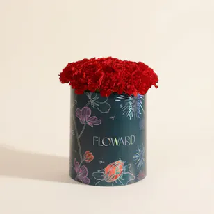 Romantic Red Carnation Box | 35 Flowers Romantic Red Carnation Box | 35 Flowers