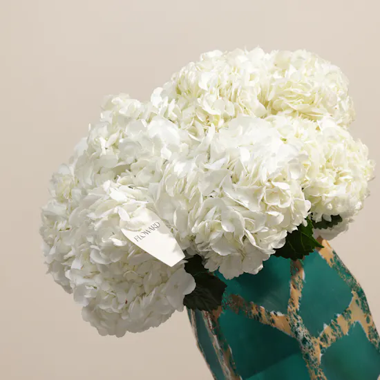 Ethereal White Hydrangea Vase