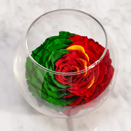 Green and Red Preserved Rose