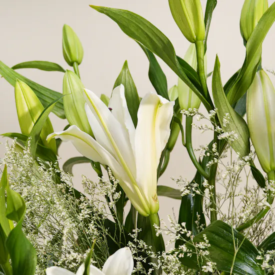 Pearlescent Lily Vase