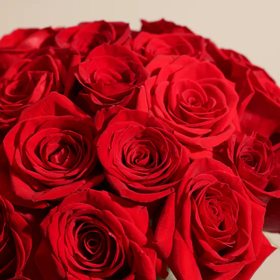 Graceful Red Roses Vase | 35 Roses