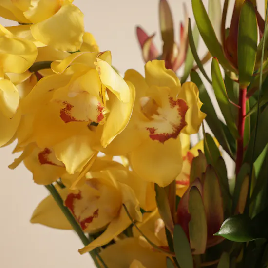 Charmed Harmony Flowers Vase