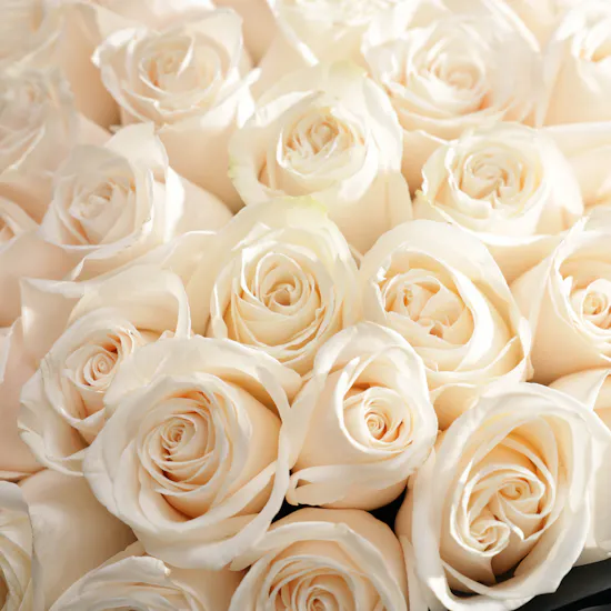 L'azurde Tree of Life Diamond Necklace | 100 Roses Bouquet