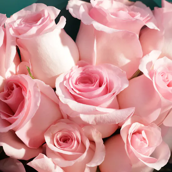 Gloss'd Beauty Lounge Classic Manicure and Pedicure with Color | Dozen Revival Rose Bouquet